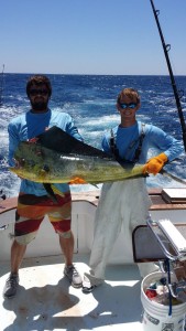 Large Ocracoke Mahi