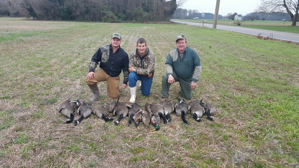MD Geese