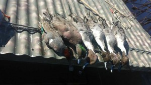 Mixed bag pit blind